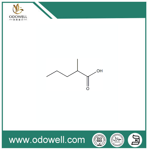 กรด 2-Methyl Valeric