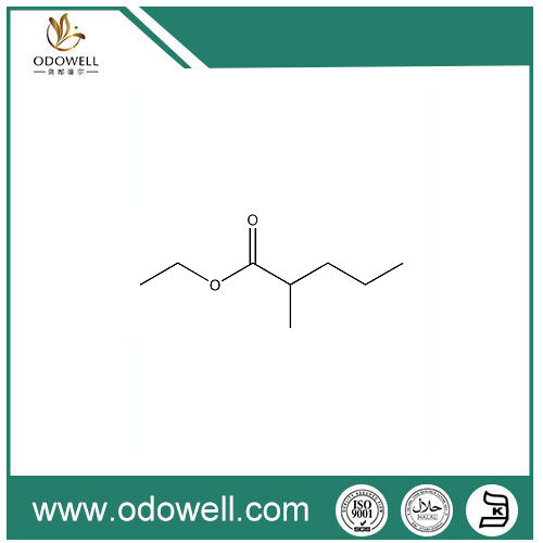 เอธิล 2-METHYLPENTANOATE