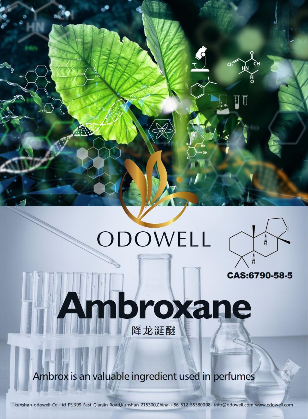 Odowell ฉลองปีที่ประสบความสำเร็จสำหรับ Ambroxane (Ambrox)