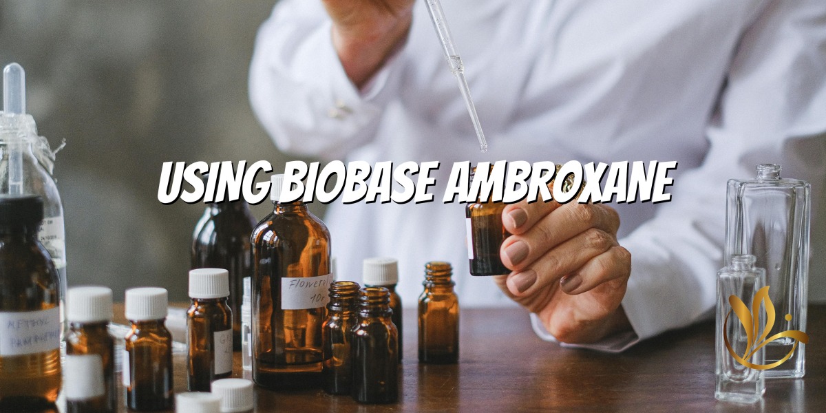Mastering Ambrox - คู่มือน้ำหอมเพื่อการสร้างสรรค์ที่ไร้กาลเวลา