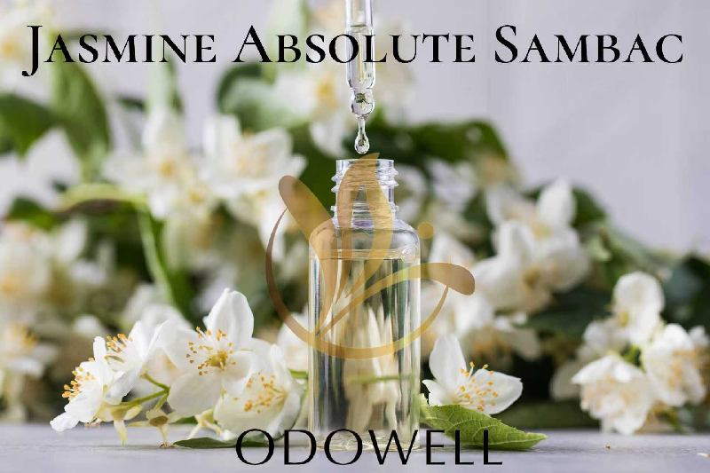 ​ODOWELL เปิดตัว Jasmine Absolute Sambac — ดอกมะลิธรรมชาติระดับพรีเมียมสำหรับน้ำหอมและความงาม