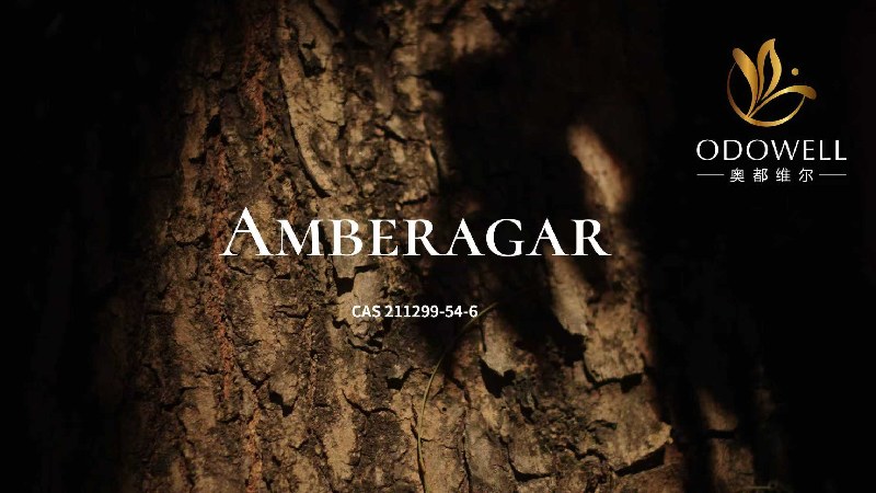 ODOWELL เปิดตัว Amberagar ส่วนผสมการผลิตที่ได้มาจากไม้ซีดาร์ นิยามใหม่ของความยืนยาวในน้ำหอมสุดหรู