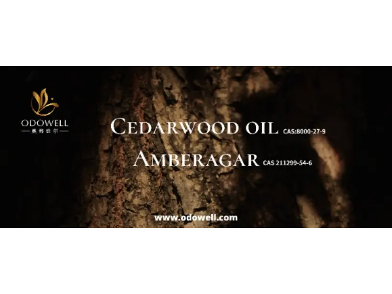 กลิ่นอันเป็นเอกลักษณ์ของคุณมีเอกลักษณ์เฉพาะตัวอย่างแท้จริงหรือไม่?