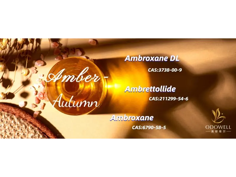 กลิ่นที่เป็นกลางสำหรับเพศยอดนิยมในปี 2025 คืออะไร