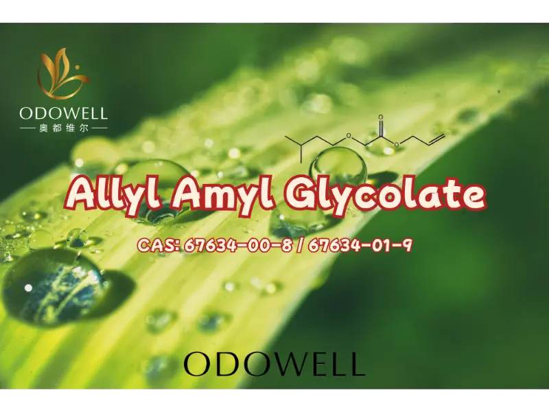 Allyl Amyl Glycolate – เอสเทอร์ฟรุ๊ตตี้ผลกระทบสูงของ ODOWELL สำหรับการสร้างสรรค์กลิ่นหอมสมัยใหม่