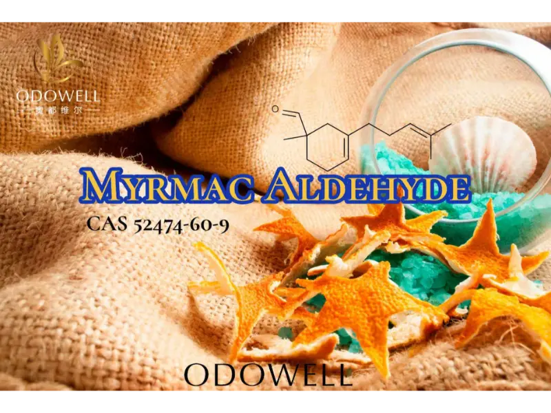 Myrmac Aldehyde – อัลดีไฮด์จากทะเลโอโซนของ ODOWELL สำหรับน้ำหอมกลางแจ้งที่สดชื่น