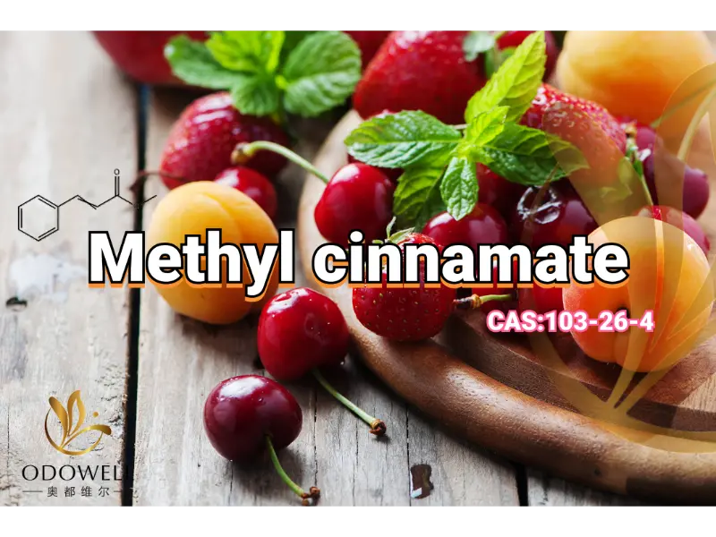 Methyl Cinnamate – เอสเทอร์ฟรุ๊ตตี้-บัลซามิกรสหวานของ ODOWELL สำหรับน้ำหอมตะวันออก