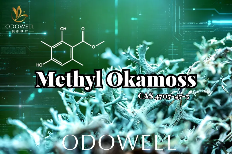 ​ODOWELL เปิดตัว Methyl Okamoss: โอ๊คมอสสังเคราะห์แท้สำหรับความเชี่ยวชาญของ Chypre และ Fougère