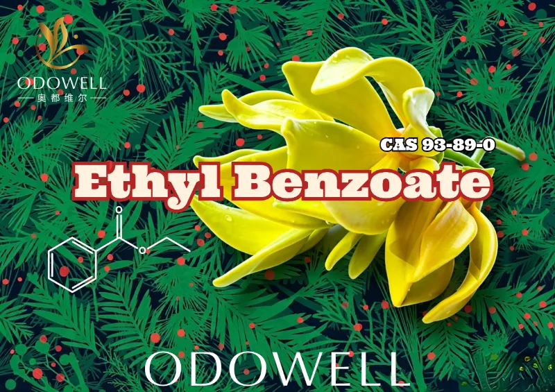 ODOWELL เปิดตัว Ethyl Benzoate: เอสเทอร์เขียวกระดังงาฤดูหนาวอันอบอุ่น เพื่อความสง่างามของดอกไม้และตะวันออก