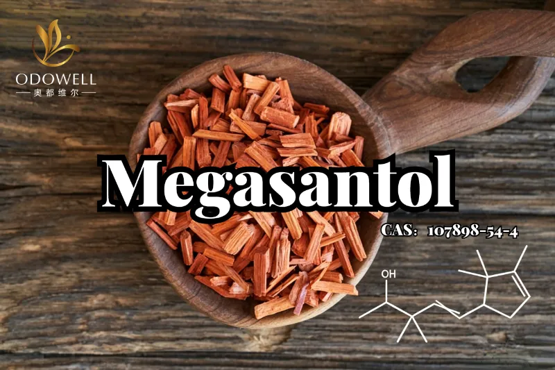 ​ODOWELL เปิดตัว Megasantol: ส่วนผสมไม้จันทน์สังเคราะห์อันทรงประสิทธิภาพสำหรับการออกแบบน้ำหอมกลิ่นไม้สมัยใหม่