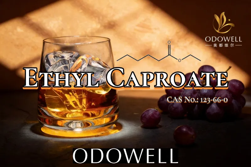 ​ODOWELL แนะนำ Ethyl Caproate สำหรับการใช้งานที่มีรสชาติคล้ายผลไม้และคล้ายไวน์