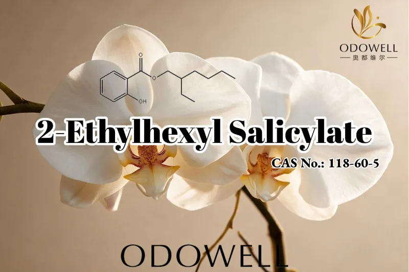ODOWELL แนะนำ 2-Ethylhexyl Salicylate สำหรับการใช้งานด้านน้ำหอม เครื่องสำอาง และการดูแลส่วนบุคคล