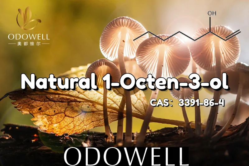 ​ODOWELL แนะนำให้ใช้ 1-Octen-3-ol จากธรรมชาติสำหรับการใช้งานที่มีลักษณะคล้ายเห็ดและมีกลิ่นคล้ายดิน