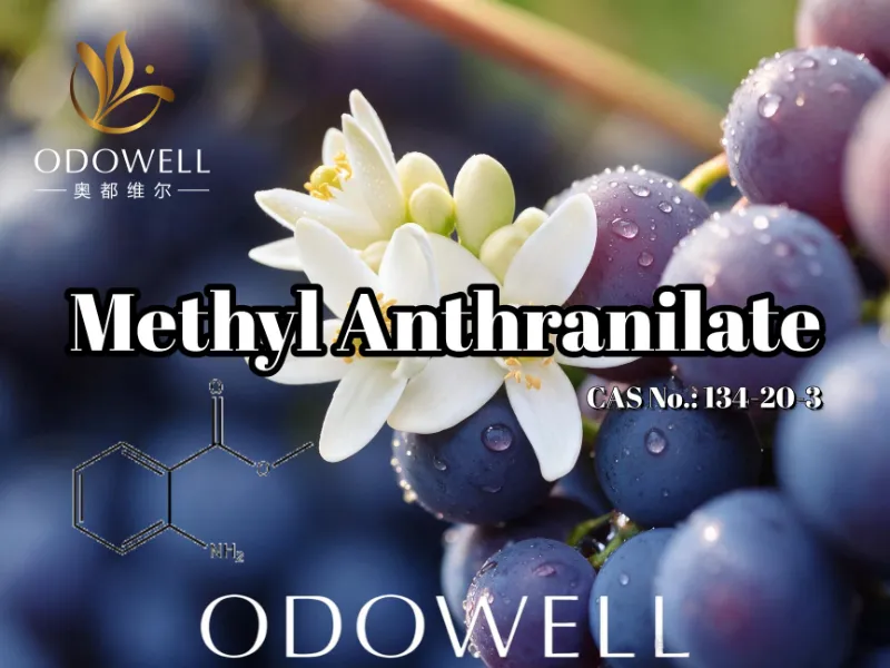 ​ODOWELL แนะนำเมทิลแอนทรานิเลตสำหรับการใช้งานองุ่น ดอกส้ม และเนอโรลี่