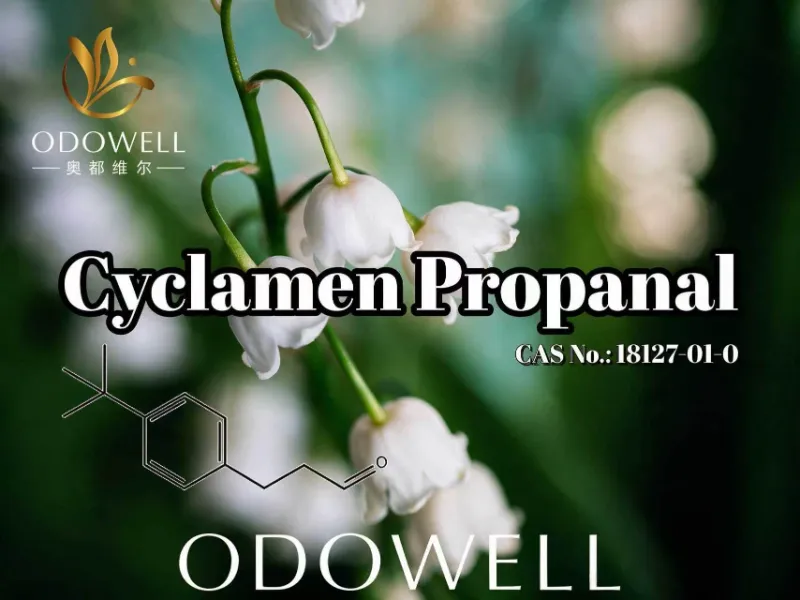 ​ODOWELL แนะนำ Cyclamen Propanal สำหรับการใช้งานกลิ่นดอกไม้สดและกลิ่นมูเกต์