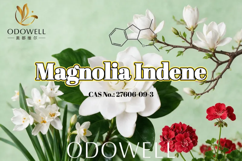 ODOWELL แนะนำ Magnolia Indene สำหรับการใช้งานกลิ่นหอมสดชื่นของดอกไม้-เขียวและซิตรัส