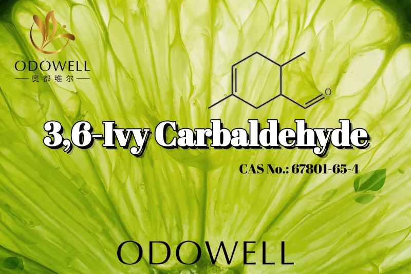 ​ODOWELL แนะนำ 3,6-Ivy Carbaldehyde สำหรับการใช้งานน้ำหอมกลิ่น Citrus สีเขียวและทาร์ตเข้มข้น