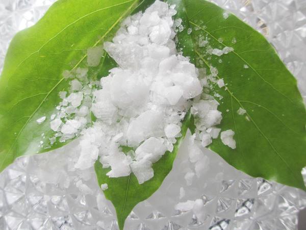 พิมเสนสะเก็ดสังเคราะห์